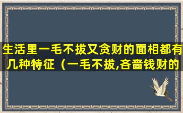 生活里一毛不拔又贪财的面相都有几种特征（一毛不拔,吝啬钱财的人是什么动物）