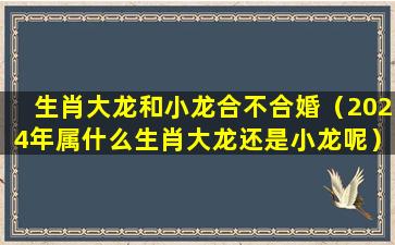 生肖大龙和小龙合不合婚（2024年属什么生肖大龙还是小龙呢）