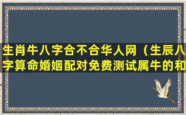 生肖牛八字合不合华人网（生辰八字算命婚姻配对免费测试属牛的和属什么的最好）