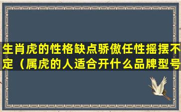 生肖虎的性格缺点骄傲任性摇摆不定（属虎的人适合开什么品牌型号车）