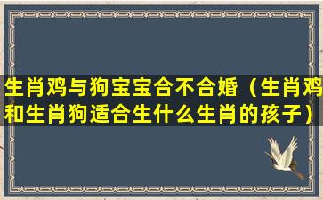 生肖鸡与狗宝宝合不合婚（生肖鸡和生肖狗适合生什么生肖的孩子）