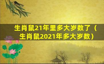 生肖鼠21年里多大岁数了（生肖鼠2021年多大岁数）