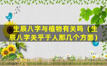 生辰八字与植物有关吗（生辰八字关乎于人那几个方面）