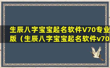 生辰八字宝宝起名软件V70专业版（生辰八字宝宝起名软件v70专业版）