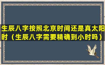 生辰八字按照北京时间还是真太阳时（生辰八字需要精确到小时吗）