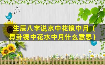 生辰八字说水中花镜中月（算卦镜中花水中月什么意思）