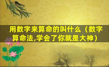 用数字来算命的叫什么（数字算命法,学会了你就是大神）