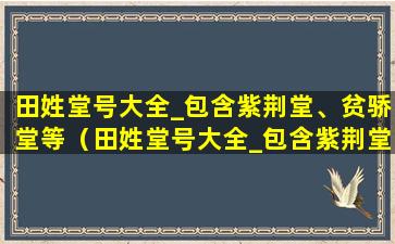 田姓堂号大全_包含紫荆堂、贫骄堂等（田姓堂号大全_包含紫荆堂,贫骄堂等）