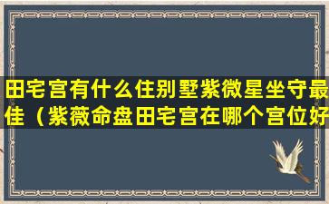 田宅宫有什么住别墅紫微星坐守最佳（紫薇命盘田宅宫在哪个宫位好）