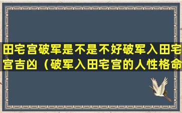 田宅宫破军是不是不好破军入田宅宫吉凶（破军入田宅宫的人性格命运如何）