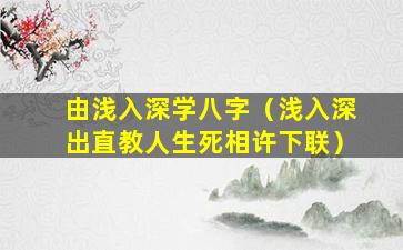 由浅入深学八字（浅入深出直教人生死相许下联）