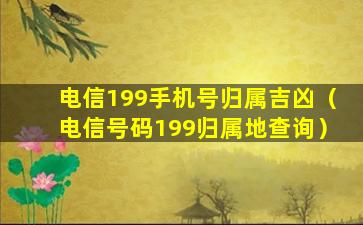 电信199手机号归属吉凶（电信号码199归属地查询）