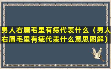 男人右眉毛里有痣代表什么（男人右眉毛里有痣代表什么意思图解）