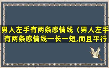 男人左手有两条感情线（男人左手有两条感情线一长一短,而且平行）