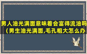 男人油光满面意味着会富得流油吗（男生油光满面,毛孔粗大怎么办）