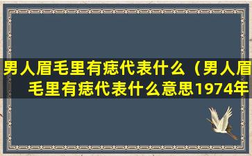 男人眉毛里有痣代表什么（男人眉毛里有痣代表什么意思1974年的天蝎座男人性格）