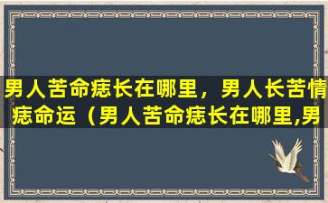 男人苦命痣长在哪里，男人长苦情痣命运（男人苦命痣长在哪里,男人长苦情痣命运）