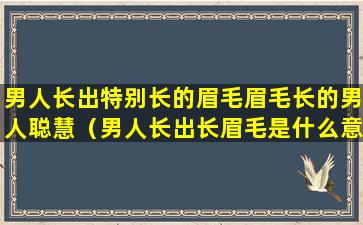 男人长出特别长的眉毛眉毛长的男人聪慧（男人长出长眉毛是什么意思）