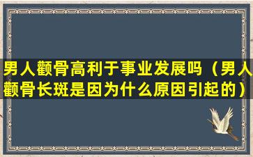 男人颧骨高利于事业发展吗（男人颧骨长斑是因为什么原因引起的）