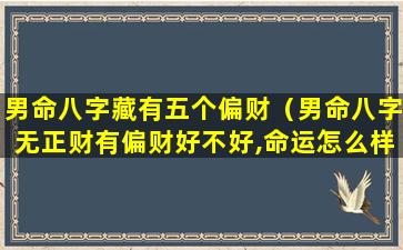 男命八字藏有五个偏财（男命八字无正财有偏财好不好,命运怎么样）