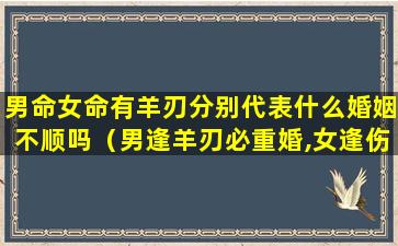 男命女命有羊刃分别代表什么婚姻不顺吗（男逢羊刃必重婚,女逢伤官义再嫁）