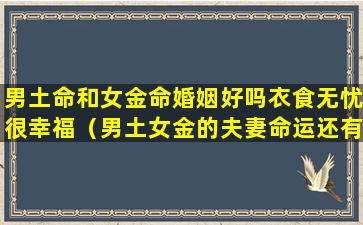 男土命和女金命婚姻好吗衣食无忧很幸福（男土女金的夫妻命运还有一种说法）