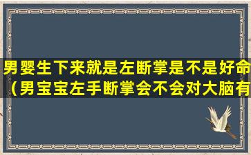 男婴生下来就是左断掌是不是好命（男宝宝左手断掌会不会对大脑有问题）