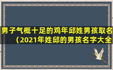 男子气概十足的鸡年邱姓男孩取名（2021年姓邱的男孩名字大全）