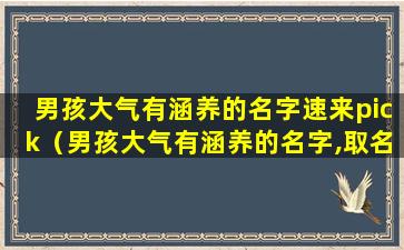 男孩大气有涵养的名字速来pick（男孩大气有涵养的名字,取名大全男孩霸气）