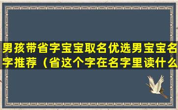 男孩带省字宝宝取名优选男宝宝名字推荐（省这个字在名字里读什么）