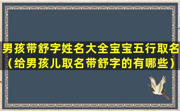 男孩带舒字姓名大全宝宝五行取名（给男孩儿取名带舒字的有哪些）