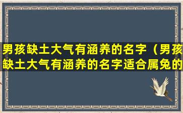 男孩缺土大气有涵养的名字（男孩缺土大气有涵养的名字适合属兔的）