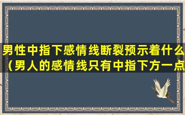 男性中指下感情线断裂预示着什么（男人的感情线只有中指下方一点点）