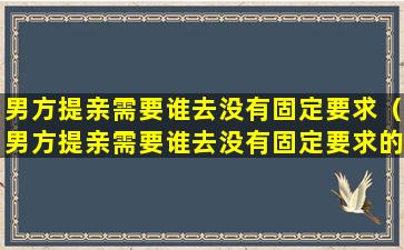 男方提亲需要谁去没有固定要求（男方提亲需要谁去没有固定要求的地方）