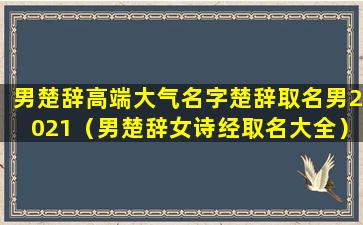 男楚辞高端大气名字楚辞取名男2021（男楚辞女诗经取名大全）