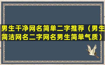 男生干净网名简单二字推荐（男生简洁网名二字网名男生简单气质）