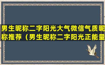 男生昵称二字阳光大气微信气质昵称推荐（男生昵称二字阳光正能量的有哪些）