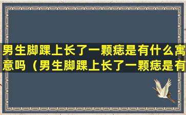 男生脚踝上长了一颗痣是有什么寓意吗（男生脚踝上长了一颗痣是有什么寓意吗图解）