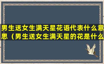 男生送女生满天星花语代表什么意思（男生送女生满天星的花是什么意思）