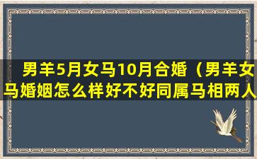 男羊5月女马10月合婚（男羊女马婚姻怎么样好不好同属马相两人可结婚了吗）