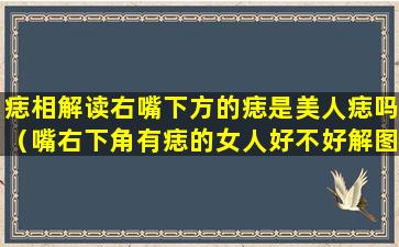 痣相解读右嘴下方的痣是美人痣吗（嘴右下角有痣的女人好不好解图）