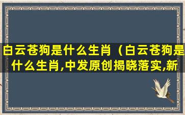 白云苍狗是什么生肖（白云苍狗是什么生肖,中发原创揭晓落实,新闻社会）