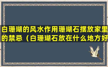 白珊瑚的风水作用珊瑚石摆放家里的禁忌（白珊瑚石放在什么地方好）