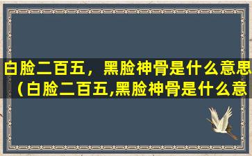 白脸二百五，黑脸神骨是什么意思（白脸二百五,黑脸神骨是什么意思）