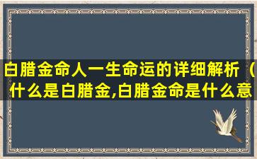 白腊金命人一生命运的详细解析（什么是白腊金,白腊金命是什么意思）