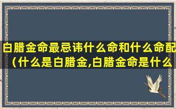 白腊金命最忌讳什么命和什么命配（什么是白腊金,白腊金命是什么意思）