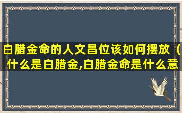 白腊金命的人文昌位该如何摆放（什么是白腊金,白腊金命是什么意思）