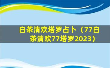 白茶清欢塔罗占卜（77白茶清欢77塔罗2023）