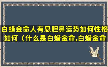 白蜡金命人有悬胆鼻运势如何性格如何（什么是白蜡金命,白蜡金命的人命运好不好）