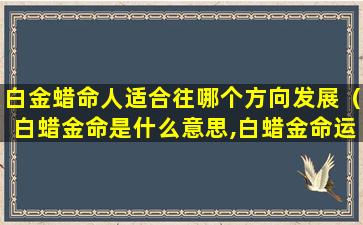 白金蜡命人适合往哪个方向发展（白蜡金命是什么意思,白蜡金命运如何）